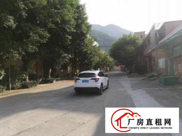  光明大道独院厂房出租，原房东实际面积