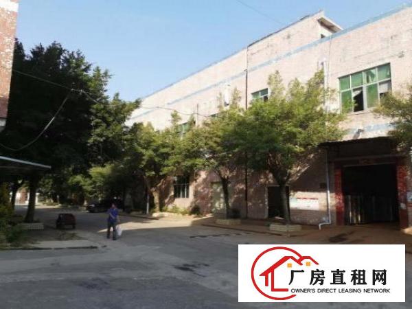  光明大道独院厂房出租，原房东实际面积