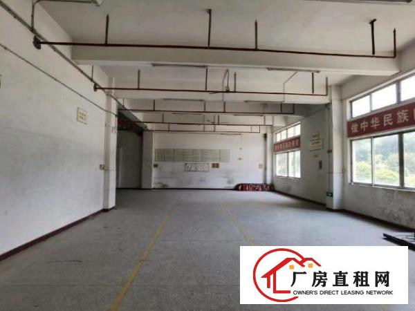  光明大道独院厂房出租，原房东实际面积