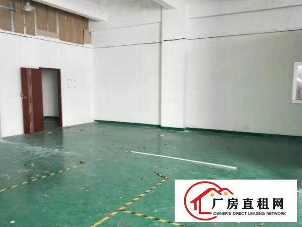  公明上村新房源！厂房380平方便宜出租，使用率高