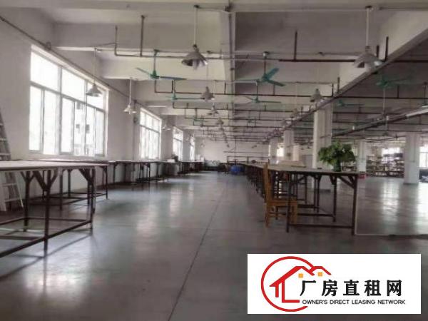  公明公常路一楼厂房800平高6米出租，可办环评