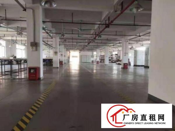  公明公常路一楼厂房800平高6米出租，可办环评