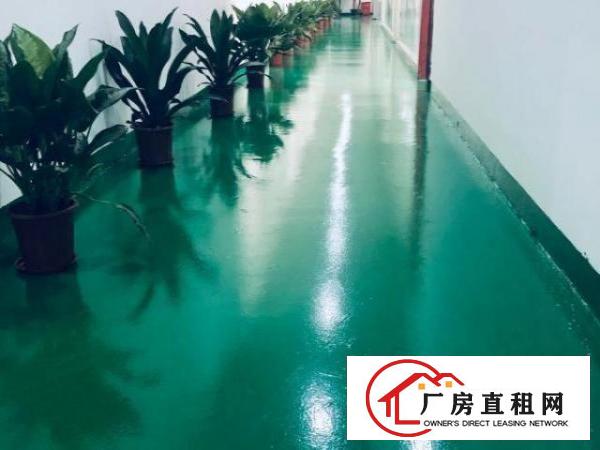  厂房内已装修好单间办公室出租