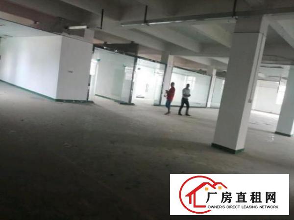  田寮光侨路边工业大厦出租