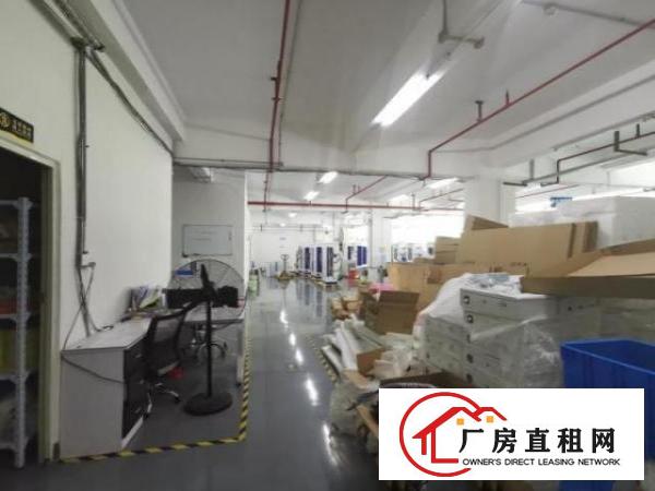  公明李松琅精装修厂房1000平方出租