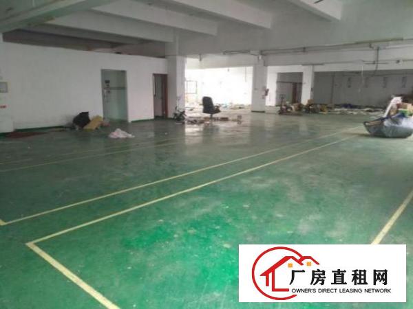  公明上村社区850平方厂房出租干净整洁