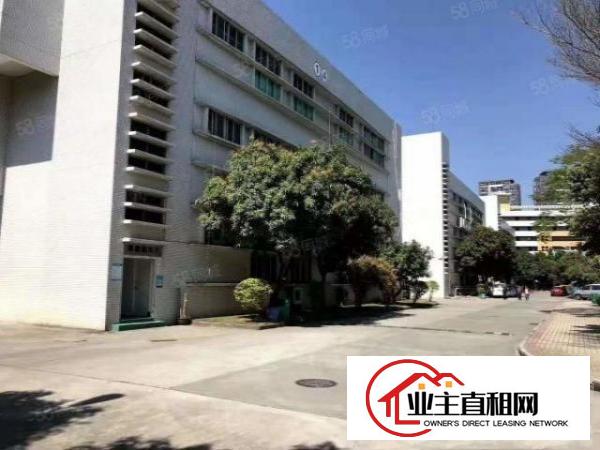  （便宜出租大型园区红本厂房出租300~3000平大小均有）