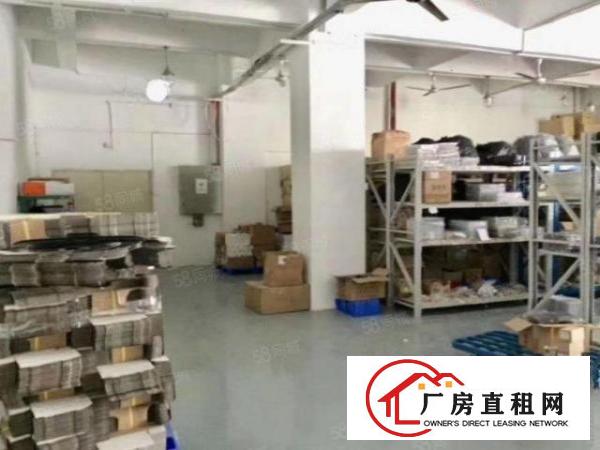  公明楼村新出630平方带装修厂房出租交通方便.易招