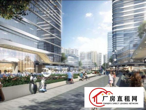  2020年全年免房租（没有任何套路）面积100~36000平