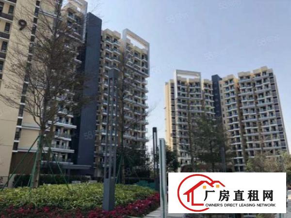  2020年全年免房租（没有任何套路）面积100~36000平