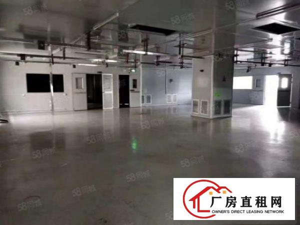  无尘车间转让整层1450平方有前台办公室不整转让费