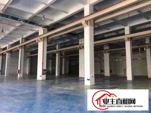  光明楼村工业区附近一楼4950平高10米50吨行车