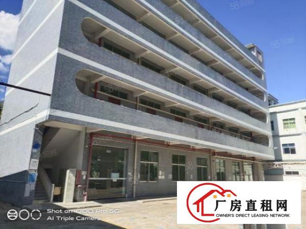  光明独门独院厂房出租1~3层10000平米租金25元