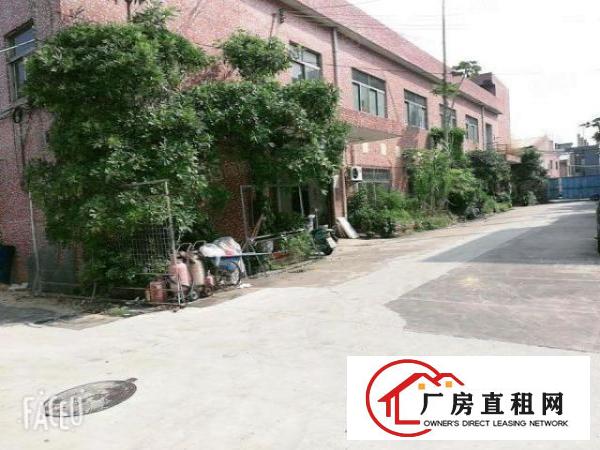  公明田寮钢结构厂房出租，1000平（实面积，可量）