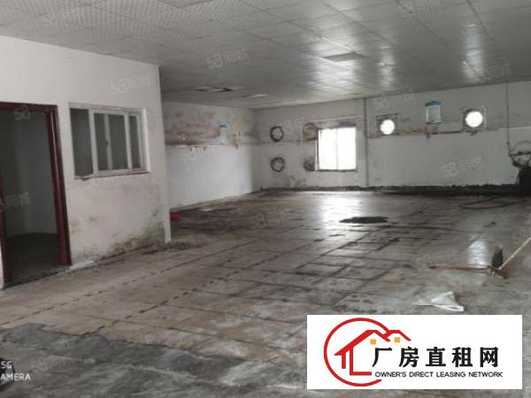  光明东坑村一楼200平出租