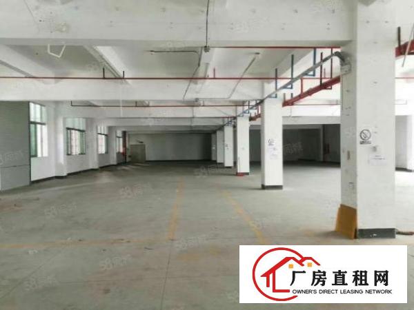  公明原房东精装修二三楼各1200平方米