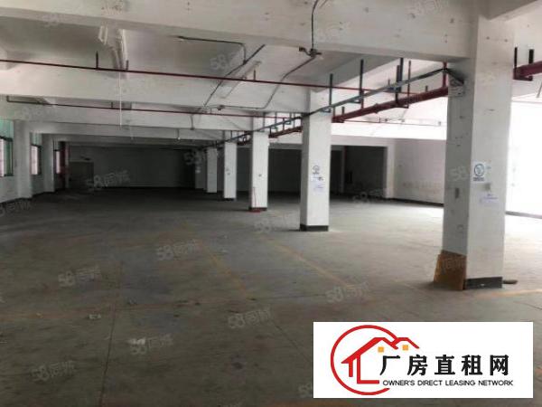  公明原房东精装修二三楼各1200平方米