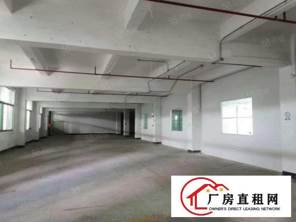  公明原房东精装修二三楼各1200平方米