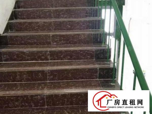  将石南光高速口独栋2层3680平方豪华精装修合同5年