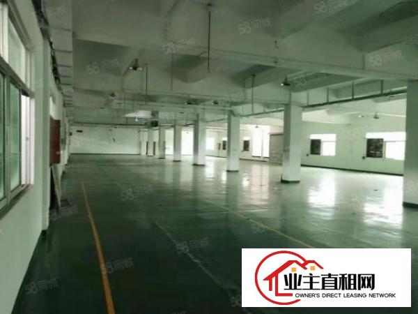  公明上村1880二楼精装修厂房