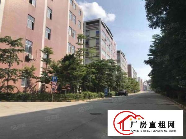  公明怡景工业城新出村委楼上带装修2000平方厂房招租