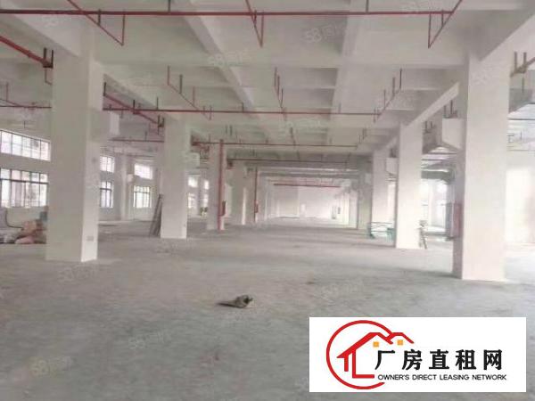  公明田寮南光高速出口附近新出独院一楼1400平合同六年