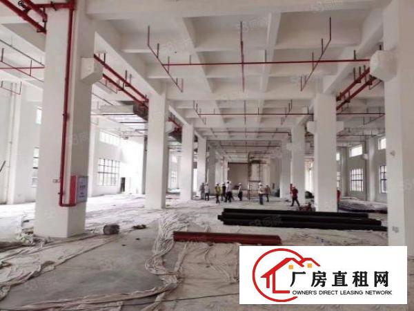  公明田寮南光高速出口附近新出独院一楼1400平合同六年