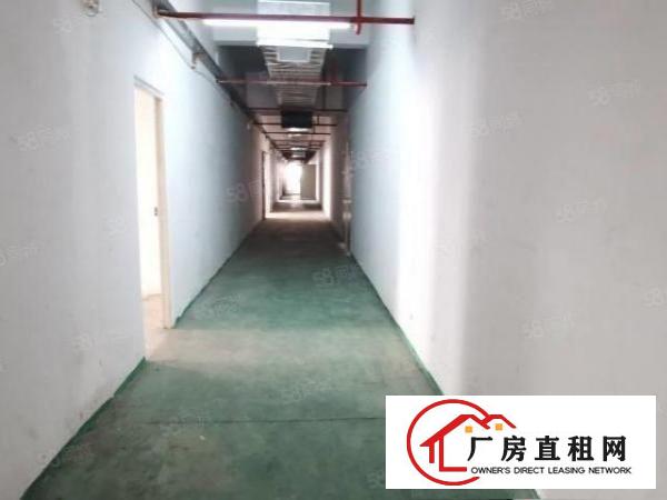  光明中心新出独栋厂房3000平米，有3栋出租，地理位置好