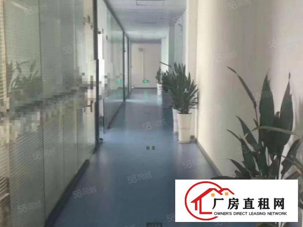  光明大型工业园新出精装修厂房出租楼上600平米
