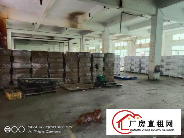 光明独门独院厂房1~3层5500平米，租金26元，可办环评
