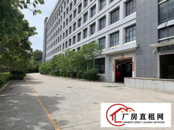  原房东（红本整栋19200平方）花园式厂房房东直租可分租