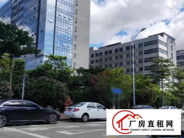  原房东（红本整栋19200平方）花园式厂房房东直租可分租