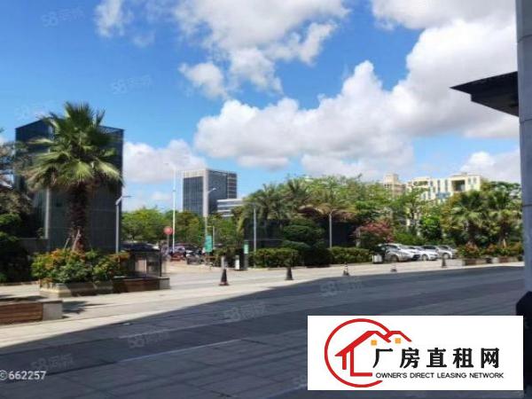  原房东（红本整栋19200平方）花园式厂房房东直租可分租