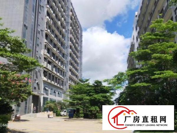  原房东（红本整栋19200平方）花园式厂房房东直租可分租
