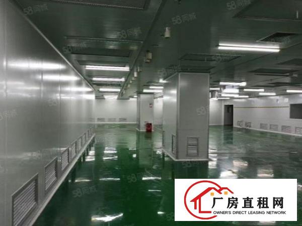  出租光明田寮南光高速出口1350平可办环评，厂房形象好！