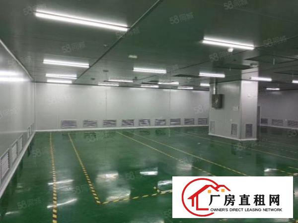  出租光明田寮南光高速出口1350平可办环评，厂房形象好！
