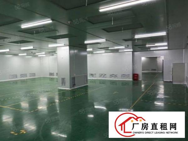  出租光明田寮南光高速出口1350平可办环评，厂房形象好！