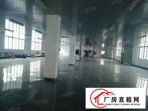  光明原房东独院厂房出租4200平米
