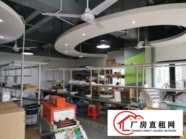  大型园区楼上豪华装修1300平适合做电商，办公贸易等各种行业