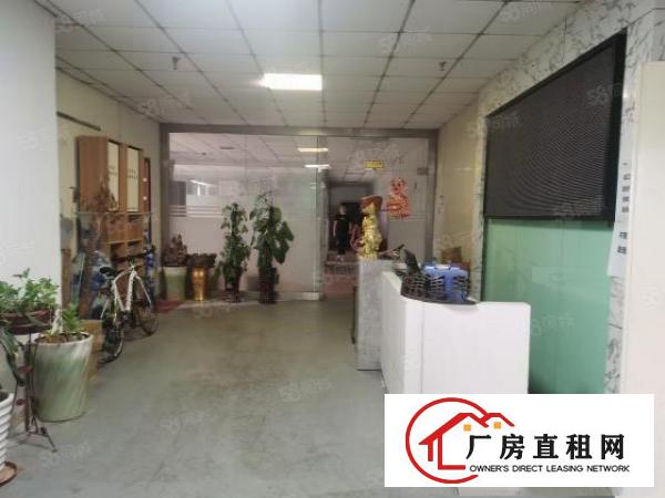  光明楼村大园区新出带无尘车间1100平方独立电梯拎包入住
