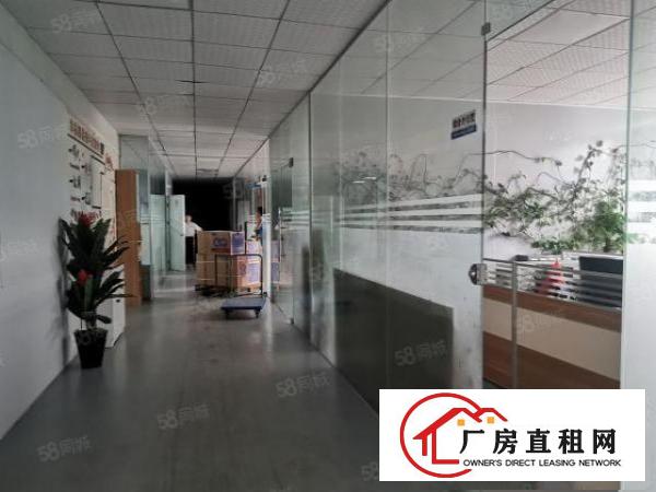  光明楼村大园区新出带无尘车间1100平方独立电梯拎包入住