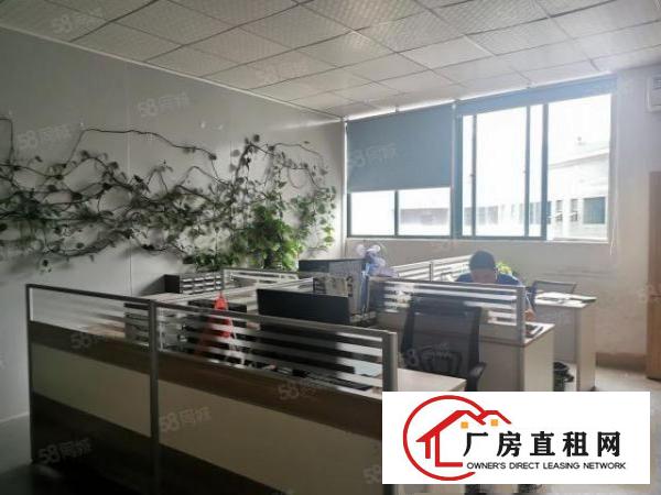  光明楼村大园区新出带无尘车间1100平方独立电梯拎包入住