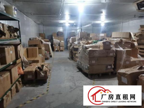  光明楼村大园区新出带无尘车间1100平方独立电梯拎包入住