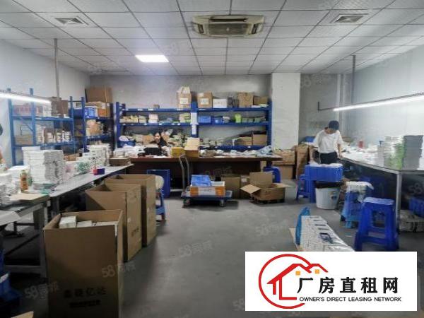  光明楼村大园区新出带无尘车间1100平方独立电梯拎包入住