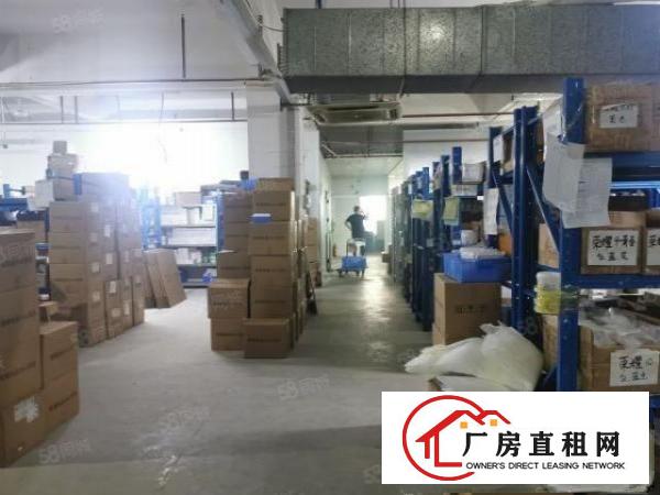  光明楼村大园区新出带无尘车间1100平方独立电梯拎包入住