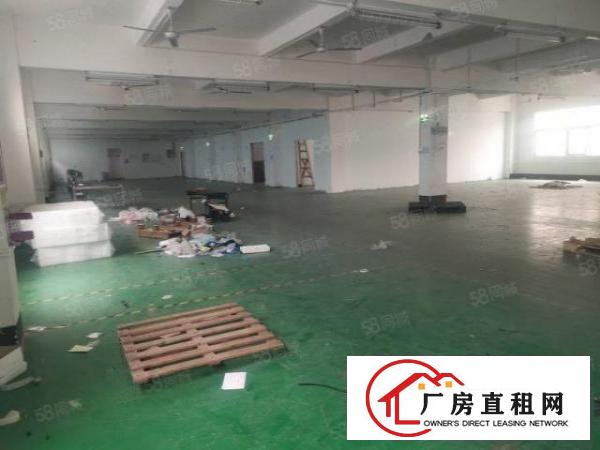  光明玉律大型工业园2楼整层1250平精装修面积实在