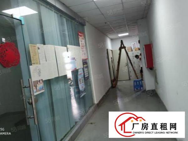  出租光明将石楼上1250平，精装修可办环评，采光好，面积实在
