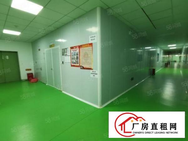  光明新区百花洞新出楼上两层全新无尘车间，无转让费