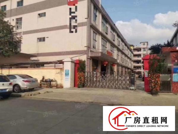  光明区主干道边独院厂房出租，带独立空地，有装修，有电梯。
