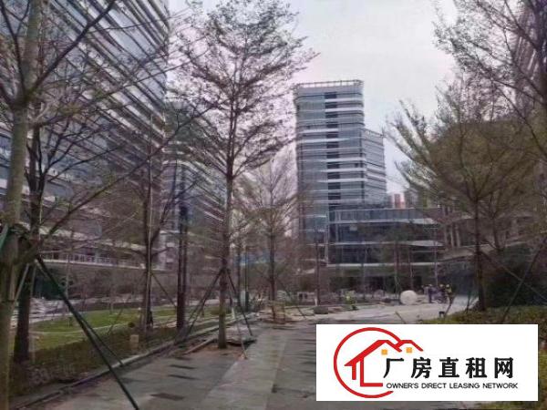  深圳光明高端研发写字楼综合体200平米起租免租13个月！